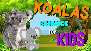 Koalas  Science for Kids [upl. by Yesdnyl]