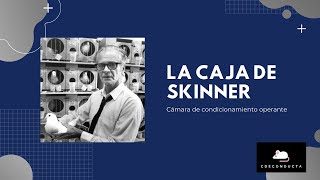 La caja de Skinner cámara de condicionamiento operante [upl. by Nyad954]