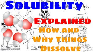 Solubility Explained [upl. by Mikey]