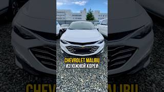 CHEVROLET MALIBU ИЗ ЮЖНОЙ КОРЕИ автовыбор автоподбор автоподборекб доставкаавто южнаякорея [upl. by Atnas]