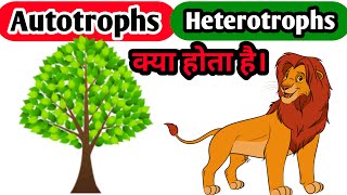 AUTOTROPHS HETEROTROPHS Autotrophs And Heterotrophs BIOBOX What Is Autotrophs [upl. by Somar]