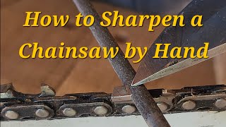 Hand Filing A STIHL Ms290 Chainsaw homestead sharp firewood diy [upl. by Blus177]