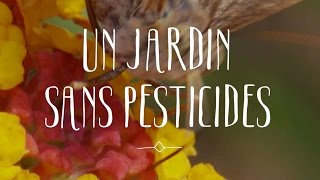 Un jardin sans pesticide [upl. by Ranite]