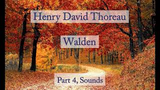 Henry David Thoreau Walden  Sounds Audiobook [upl. by Sweet]