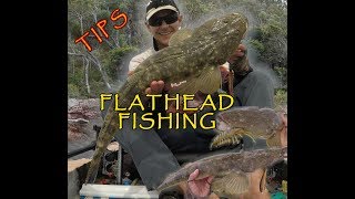 FLATHEAD FISHING TIPS AND METHODS [upl. by Liz]