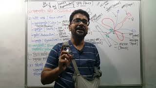 flower anatomy and morphology in Hindi पुष्प शारीरिक एवं आकरिकी [upl. by Trinia]