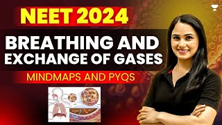 Breathing and Exchange of Gases  With Mind Maps and PYQs  NEET 2024  Gargi Singh [upl. by Binette604]