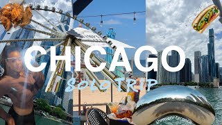 life in chicago  summer time chi conference solo travel amp more [upl. by Eelreveb74]