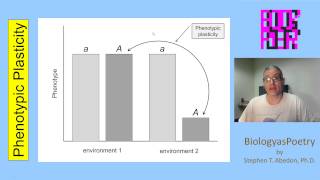 Phenotypic Plasticity [upl. by Noned]