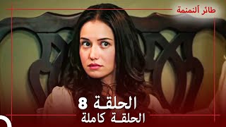 الحلقة 8  طائر النمنمة [upl. by Nwahsir]