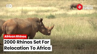 Back To The Wild 2000 Rhinos Set For A Major Relocation To Africa [upl. by Anialed]