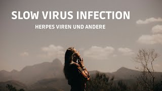 Slow Virus Infection  Herpes und andere [upl. by Purdy664]