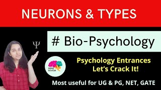 Neurons and Types BioPsychology Psychology Entrances Mind Review [upl. by Atinreb]