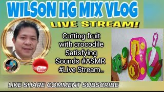 Wilson 0018 cutting fruits with crocodile Satisfying Sounds  ASMR  Live Stream [upl. by Adirehs]