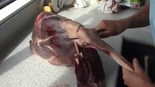 Butchering the hind leg of a deer [upl. by Mattheus36]