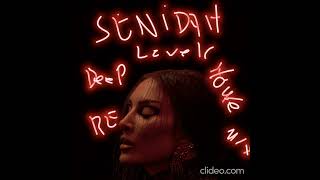 Senidah Level Deep House Remix [upl. by Leynad]