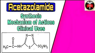 Synthesis of Acetazolamide  Mechanism of Actions  Medicinal chemistry 5th sem B Pharm [upl. by Certie]