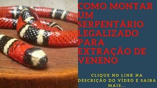 Como Montar um Serpentário Legalizado para Extração de Veneno [upl. by Blau73]