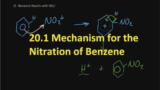 R31201 Mechanism for the Nitration of Benzene 2025  only behavior of HNO3 HL IB Chemistry [upl. by Radman]