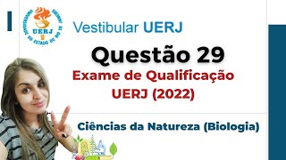 UERJ 2022 questão 35 dilatação de uma placa [upl. by Willumsen863]