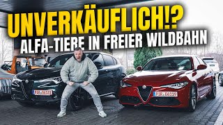 Der meist gehasste Gebrauchtwagen Deutschlands Vor dieser Marke haben Autohändler Angst Alfa Romeo [upl. by Tulley]