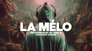 Free Melodic Drill Type Beat quotLa Méloquot Instru Rap drill Love Instrumental Melodieuse 2024 [upl. by Tilagram267]