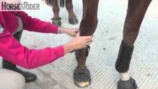 Jo Jacksons Top Tips  How to fit exercise boots  HorseandRider UK [upl. by Ranit]