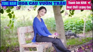 HOA CAU VƯỜN TRẦU 🌐 KARAOKE TONE NAM NHẠC SỐNG DISCO 📢 BEAT HAY DỄ HÁT 🎙 THANH SƠN KOVA [upl. by Noonberg725]