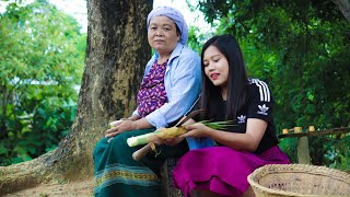 Bru traditional way of cooking bamboo shoots amp chicken in a bamboo tube village lifestyles [upl. by Natal]