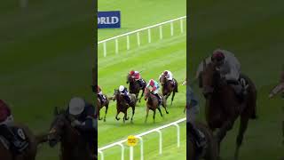 Moss Tucker Wins G1 Flying Five Stakes At The Curragh ICF [upl. by Kirstyn182]