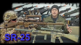 의뢰작 GampP  SR25 MK11  mod 0 사막 위장 도색 [upl. by Rekab776]