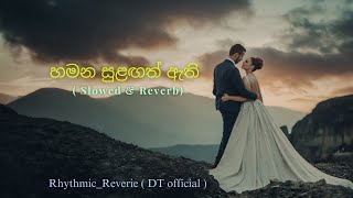 හමන සුළඟත්  Slowed amp Reverb  Hamana Sulagath  Sahil Himansa [upl. by Mcfarland]