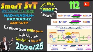 112 NAD  FAD et ATP 202425BIOF [upl. by Toh]