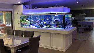 675 gallon Rainbow Reef tour [upl. by Gaves]