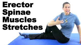 Erector Spinae Muscles Stretches  Ask Doctor Jo [upl. by Rockel626]