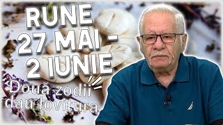 Horoscop rune 27 mai  2 iunie 2024 Mihai Voropchievici Racii îl au pe WUNJO [upl. by Lapides]