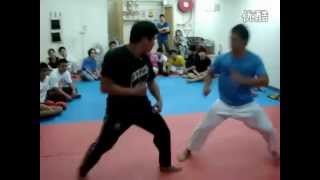 Wing Chun  Chum Kiu Form [upl. by Keeler]