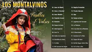 Los Montalvinos Pasillos amp Valses  Grandes Exitos De Los Montalvinos  Pasillos Inolvidables [upl. by Watts]