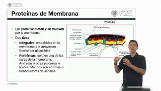 Proteínas Biomoléculas [upl. by Edaw257]