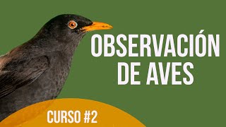 ¿Cómo observar aves en la Naturaleza 🐦🦉🦜🔍Curso de Observación de aves Cap 2 [upl. by Aierbma]