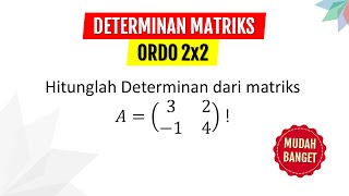 CARA MENENTUKAN DETERMINAN MATRIKS ORDO 2x2 [upl. by Won]