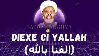 Diexe Ci Yallah Mooy Lane الفنا بالله  Niou Déglou Baye Niass •Faydatidianiya [upl. by Nylecoj674]