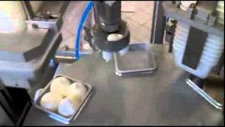 Filling machine for ice cream wwwrotopacksrlcom [upl. by Eaves]