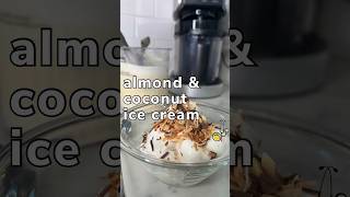 Toasted Almond and Coconut Ice Cream in the Ninja Creami [upl. by Cello443]