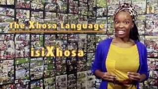 How to pronounce the X Click in Xhosa like in Black Panther [upl. by Southworth]