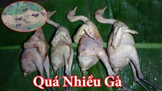 SĂN GÀ RỪNG ĐÊM NGỦ RỪNG  T4  THỢ NÚI [upl. by Atalya]