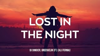 Новый трек DJ DimixeR Greenjelin  Lost In The Night [upl. by Anniroc]