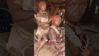 Crazy marriage ceremony of hammar tribe in Ethiopia thepaktrekker [upl. by Gloriana]