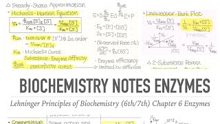 1001 Notes 📒 Ch 6 Enzymes Notes 📝 Lehninger Principles of Biochemistry 6th7th Notes [upl. by Cormier]