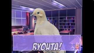 Roscuro Plays Hatoful Boyfriend Part 74  Bad Boys Love  Pigeon Shoes [upl. by Eseerehs]